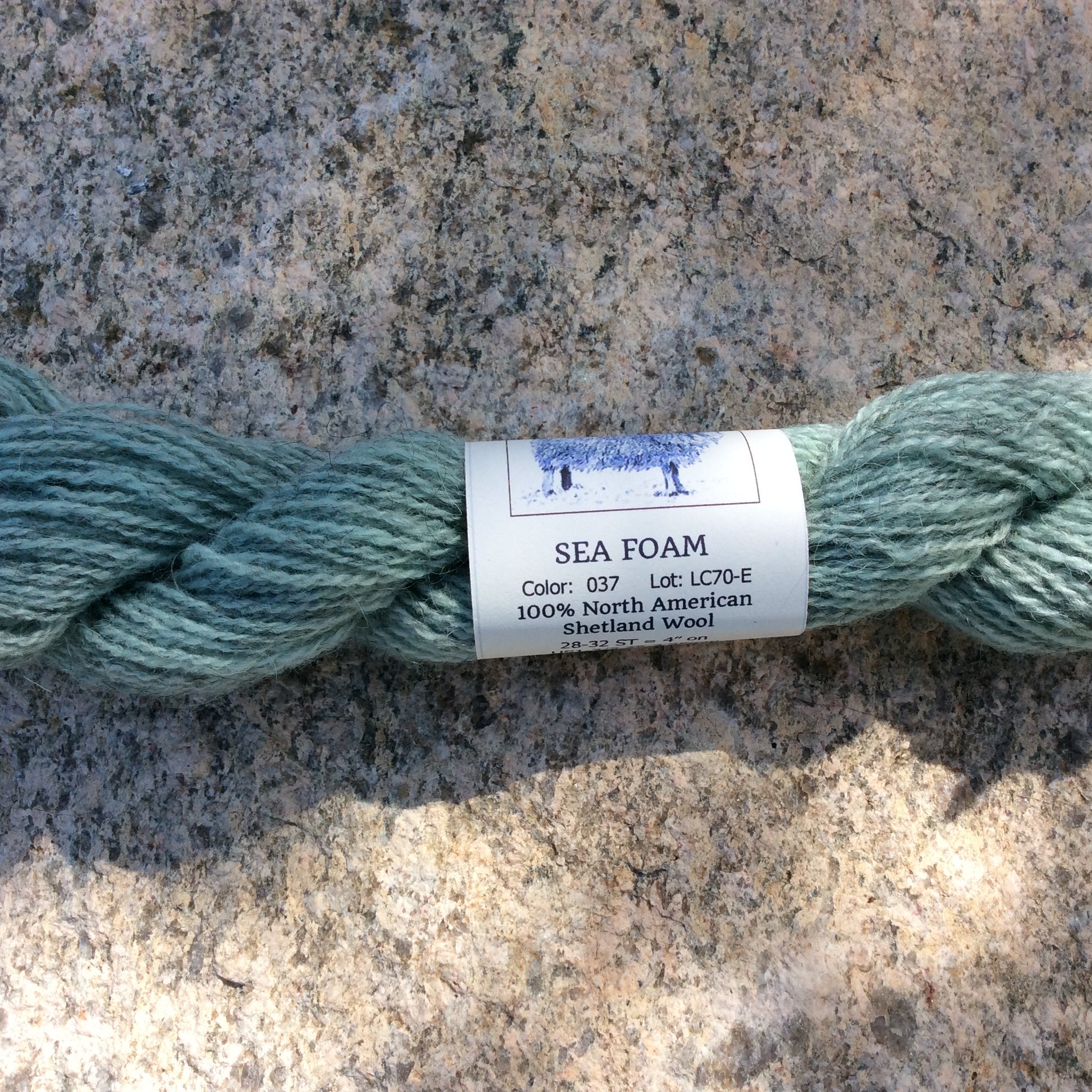 Done Roving Yarn - Frolicking Feet - Sea Foam